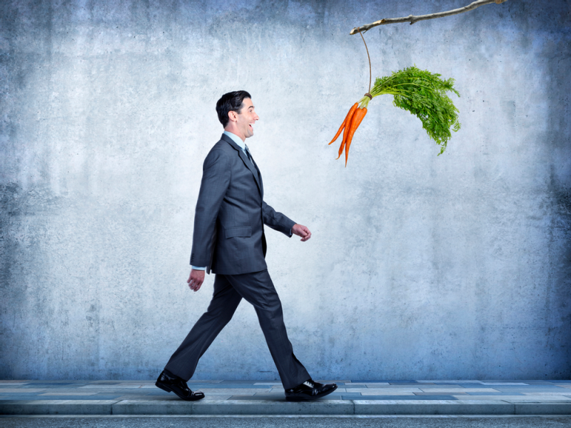 Man following carrots hanging from a stick